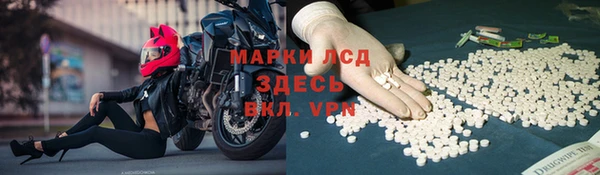 крисы Бронницы